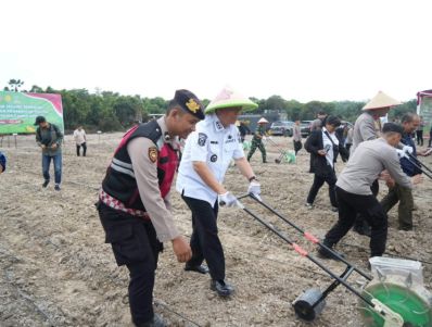 Dukung Program Ketahnan Pangan Nasional, Bupati BBS Ikut Tanam Jagung Serentak