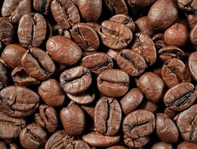 Harga Kopi Robusta Selangit, Green Bean Tembus Rp 80 Ribu Perkilo